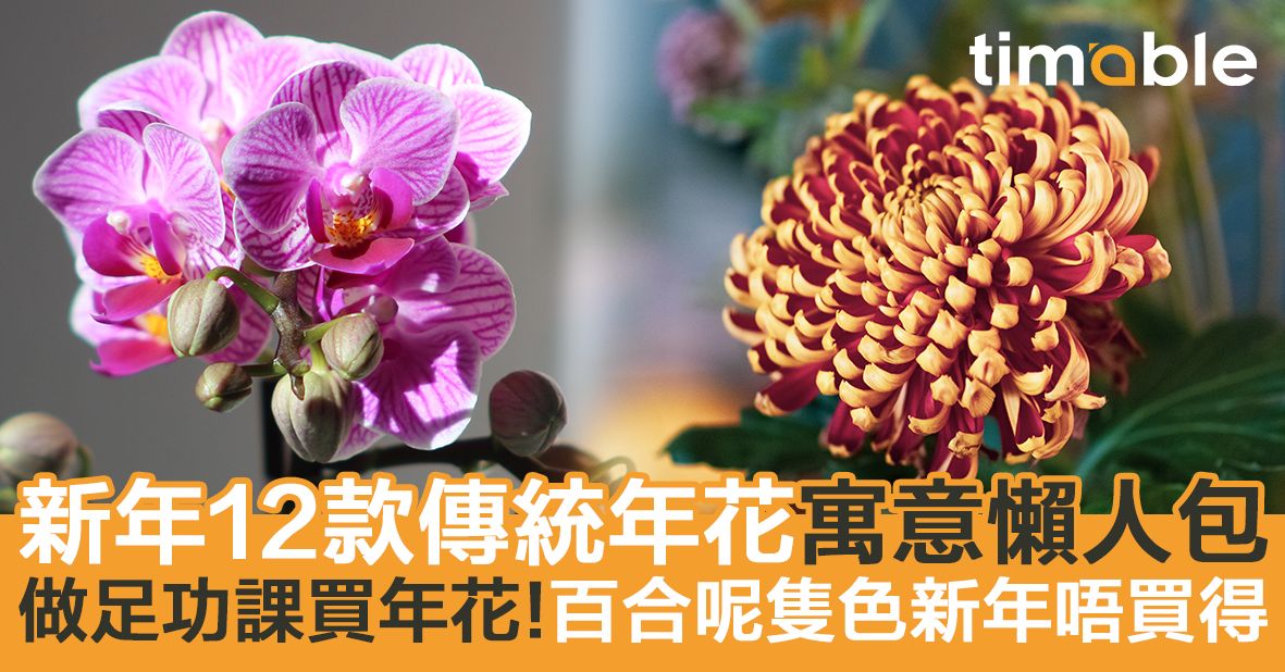 農曆新年22 做定功課買年花 12款傳統常見年花寓意懶人包 Timable Hong Kong